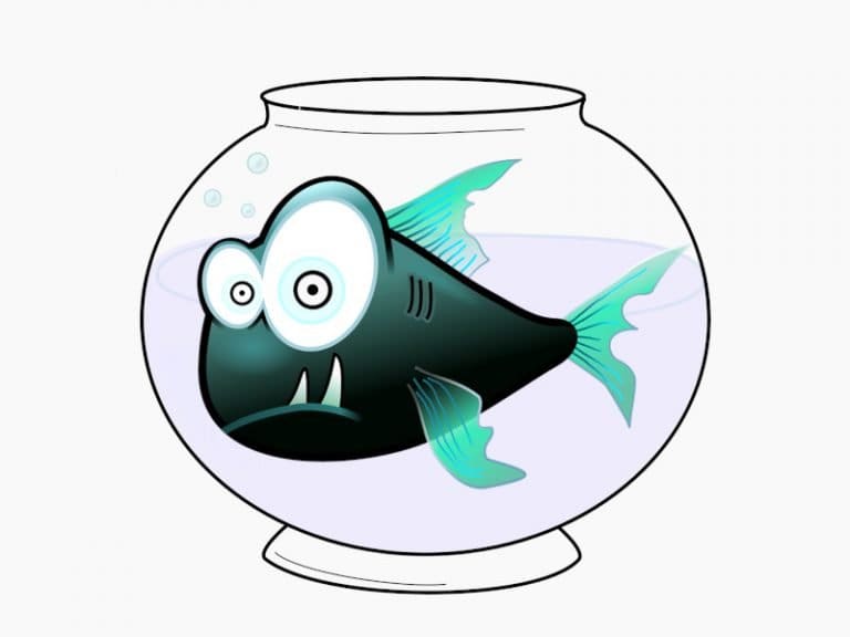 Illustration eines eingeengten Fisches in einem kleinen runden Glas