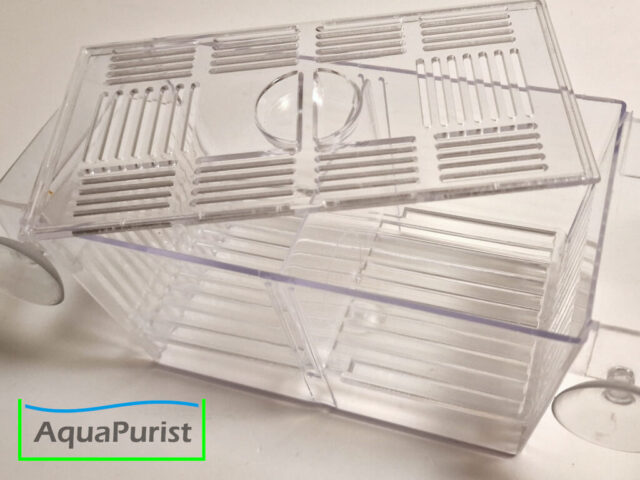 Ablaichbox Einhängekasten happet Plastik