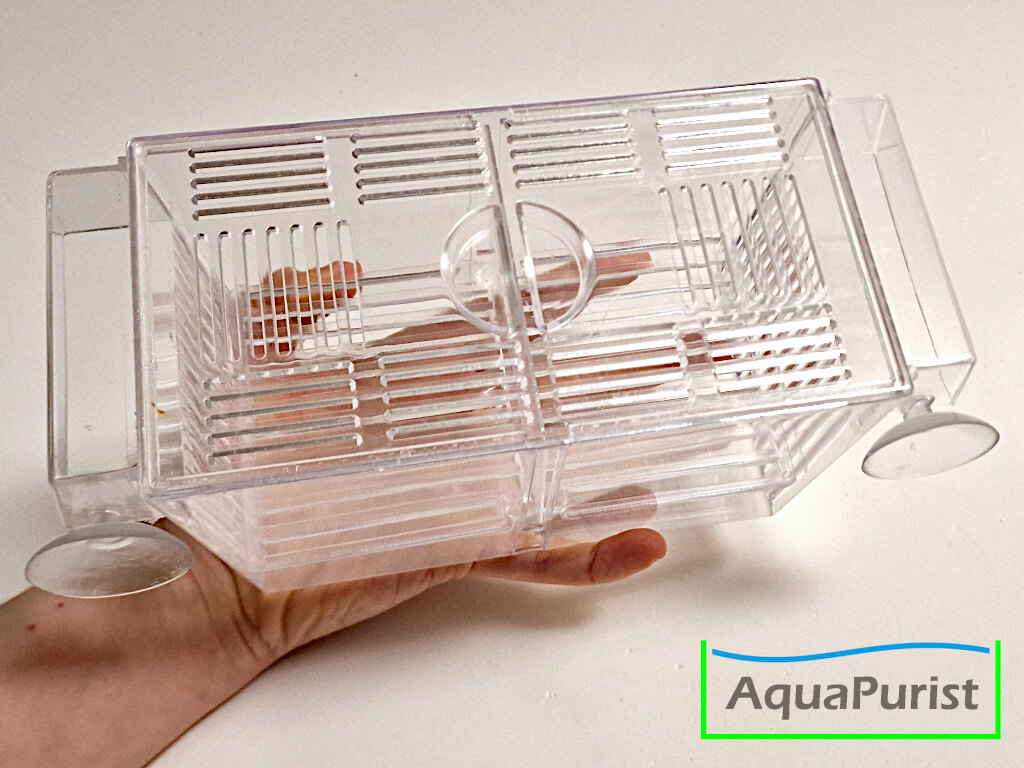 Ablaichbox Einhängekasten happet Plastik