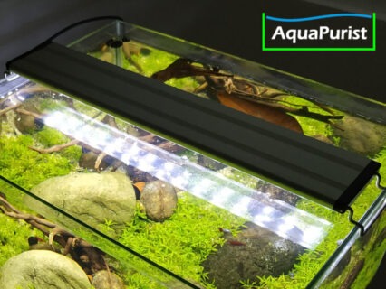 Aqua-LED-Aufsetzleuchte mit verstellbarer Halterung