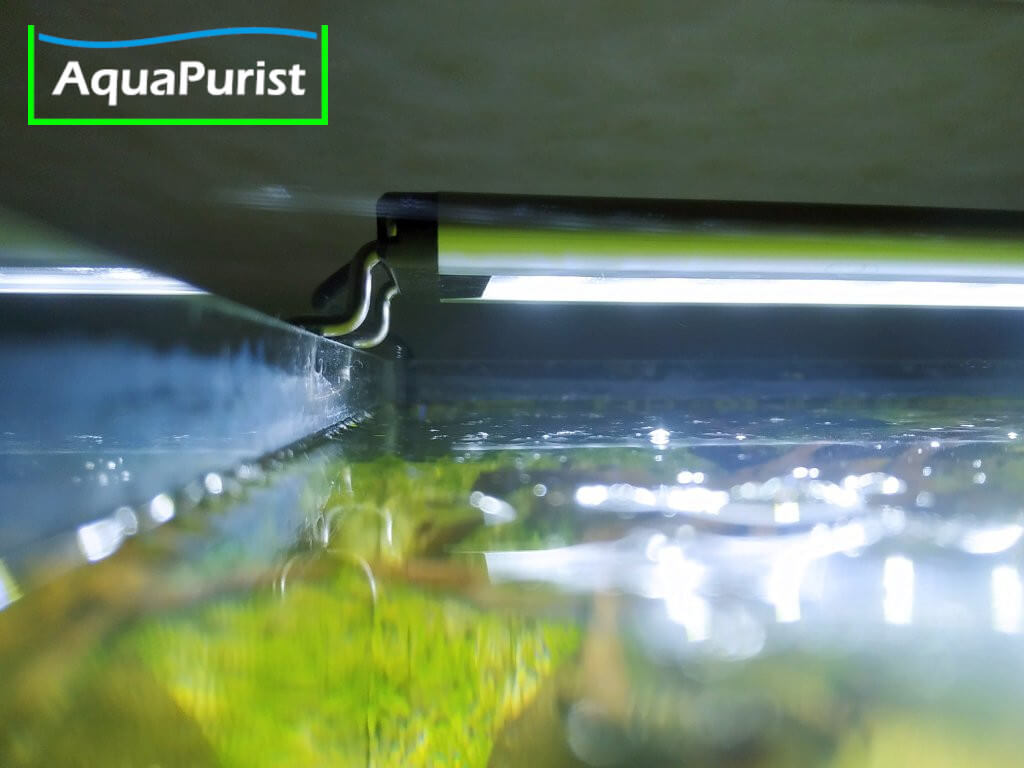 Aqua LED Aufsetzleuchte 2 LED-Aufsetzleuchte am Rand eines Aquariums