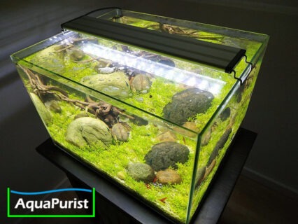 Aqua-LED-Aufsetzleuchte mit verstellbarer Halterung