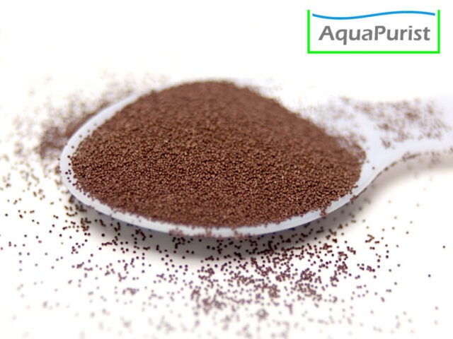 Artemia Tibet fürs Schlüpfen Artemia Tibet fürs Schlüpfen