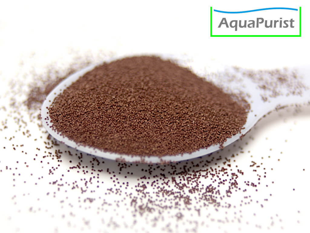 Artemia Tibet fürs Schlüpfen Artemia Tibet fürs Schlüpfen