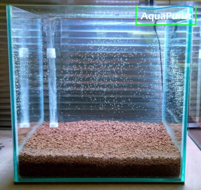 Bodenfilter happet 7 Aquarium mit Bodenfilter nach dem Befüllen