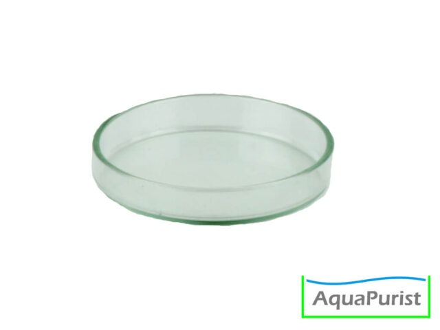 Futterschale aus Glas 2 Runde transparente Futterschale aus Glas