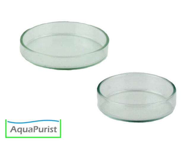 Futterschale aus Glas 3 Futterschale aus Glas