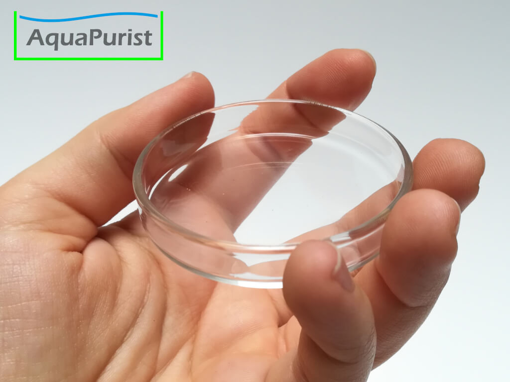 Futterschale aus Glas 5 Glas-Futterschale auf einer Hand als Größenvergleich