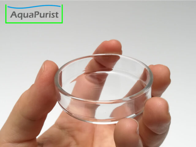Futterschale aus Glas 6 Glas-Futterschale auf einer Hand als Größenvergleich