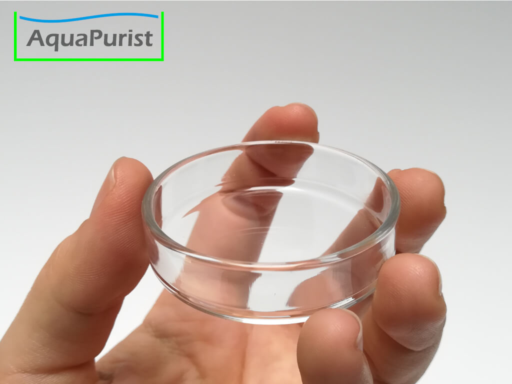 Futterschale aus Glas 6 Glas-Futterschale auf einer Hand als Größenvergleich