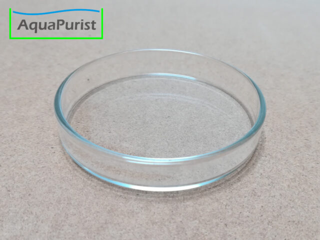 Futterschale aus Glas 8 Runde transparente Futterschale aus Glas
