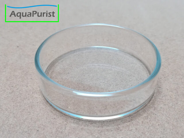 Futterschale aus Glas 9 Runde transparente Futterschale aus Glas