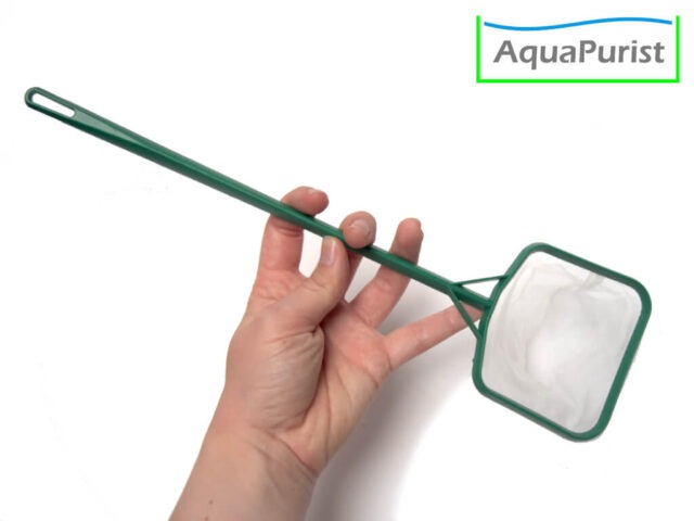 Kescher, starres Netz, groß (7) Aquarienkescher mit grünem Stiel auf einer Hand