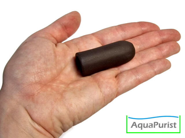 Kleine braune Garnelenhöhle auf einer Hand