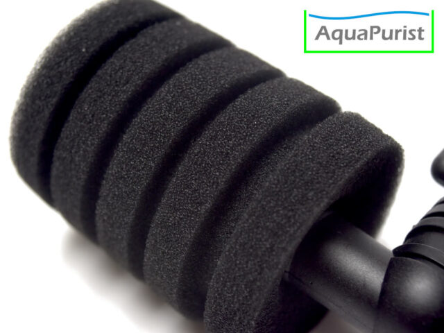 Gerippter Filterschwamm eines L-förmigen Aquarienfilters