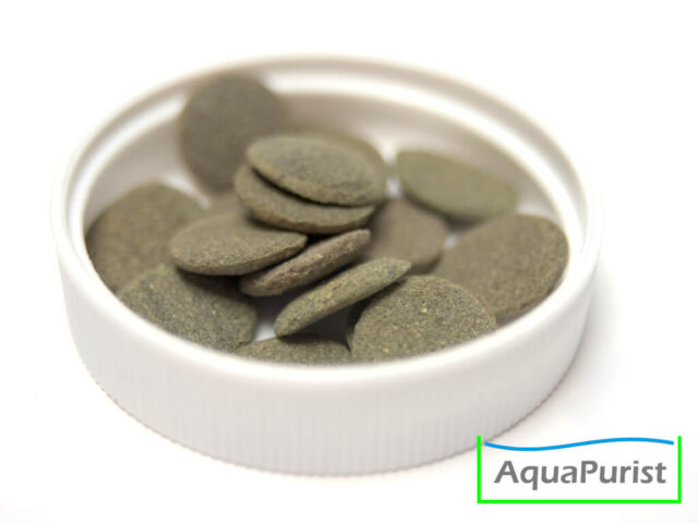 Spirulina-Futtertabletten in einer weißen Schale