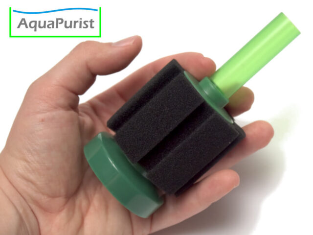 Kleiner Schwammfilter mit Standfuß auf einer Hand
