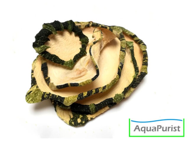 Zucchini Scheiben 2 Getrocknete Zucchinischeiben in Nahaufnahme