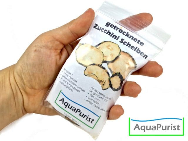 Zucchini Scheiben 8 Zucchini Scheiben 8