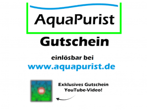 Gutschein-25E-Bild