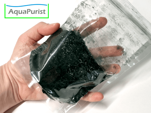 Moina Futter Spirulina