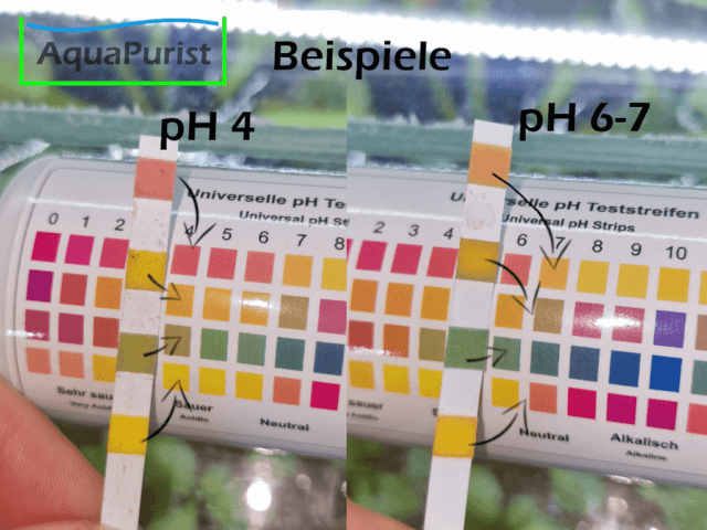 Wasserteststreifen ph-Wert 4 Indikatoren