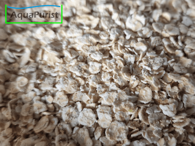 Panagrellus Kulturmedium 100 g Tüte
