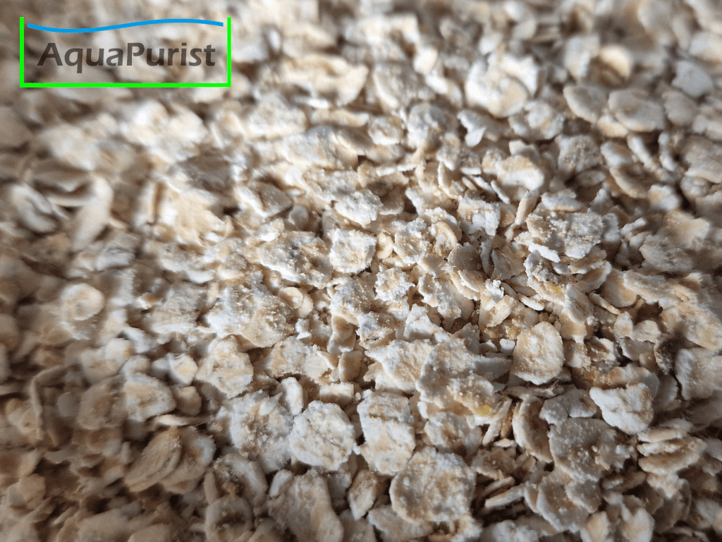 Panagrellus Kulturmedium 100 g Tüte